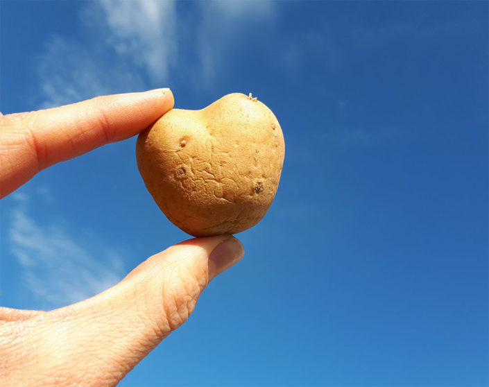 Ernährung beginnt im Kopf Mona Glock